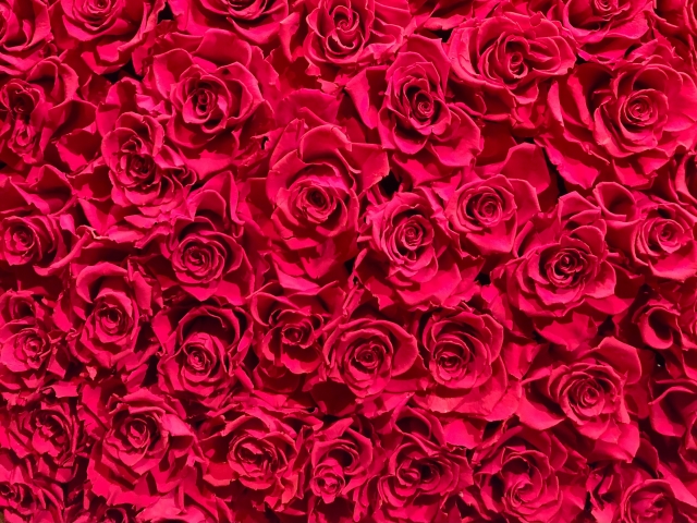 結婚記念日に薔薇の花束_本数は何本